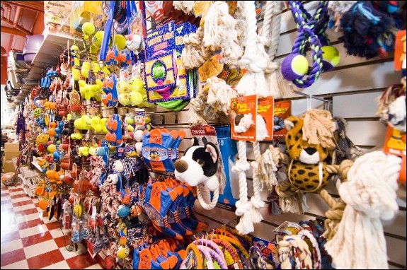 Global Pet Foods Toronto Inside the Store - Lower Jarvis